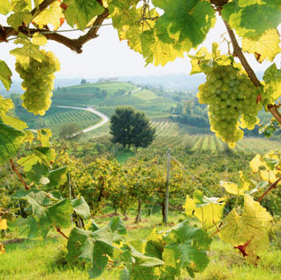 Agriculture