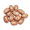 Pinto Bean