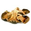 Dry Oyster Mushroom