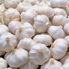 Fresh Garlic