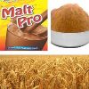 Malted Milk Food