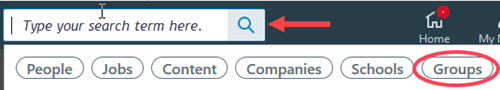 LinkedIn Group Search Bar