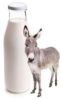 Donkey Milk
