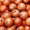 Bellary Onion