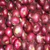 Rose Onion