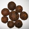 Black Dried Lemon