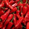 Birds Eye Red Chilli