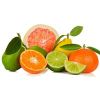 Citrus Fruits