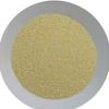 Dried Garlic Granules