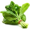 Spinach