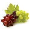 Fresh Grapes