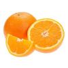 Navel Orange