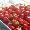 Canned Cherries
