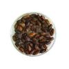 Neem Fruits