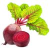 Beetroot