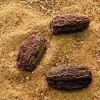 Dry Dates Powder