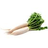 Radish