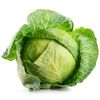 Cabbage