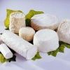 Fresh Cheese