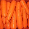 Frozen Diced Carrot