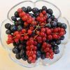 Currants