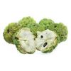 Custard Apple