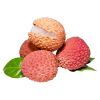 Fresh Litchi