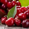 Fresh Cherries