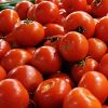 Canned Tomatoes