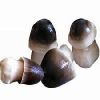 Paddy Straw Mushroom