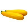 Yellow Zucchini