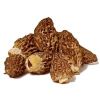 Wild Morels