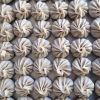 Veg Momos