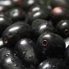 Jamun