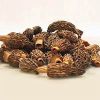 Dried Morels