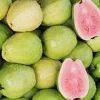 Frozen Guava