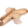 Lotus Stem