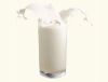Milk Premix