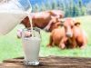 A2 Milk