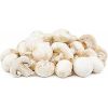 Organic Mushroom