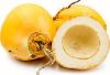Yellow Coconut