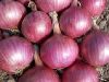 Hybrid Onion