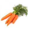 Fresh Carrot