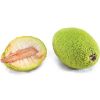 Breadfruit