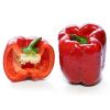 Capsicum