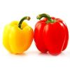 Color Capsicum