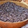 Locust Beans