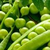 Green Peas
