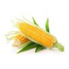 Sweet Corns