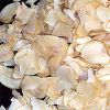 Dehydrated Garlic Flakes